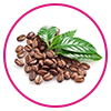 Coffee extract - Beauty Relay India